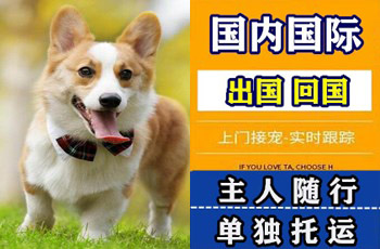 三亚市宠物托运公司三亚市宠物托运公司三亚市宠物托运公司