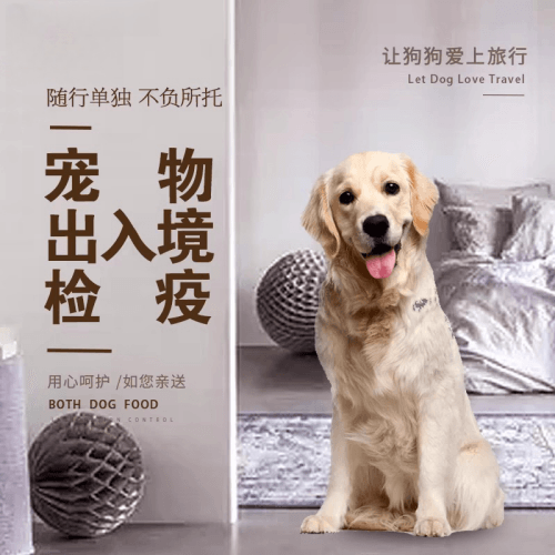 三亚市宠物托运到哥伦比亚猫狗宠物入境规定和