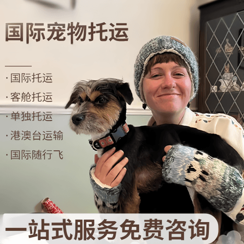 三亚市国际宠物托运到阿根廷宠物入境规定和要