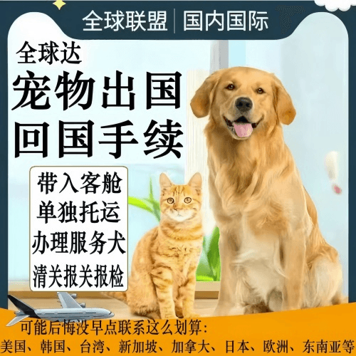 三亚市宠物托运到柬埔寨宠物入境规定和要求