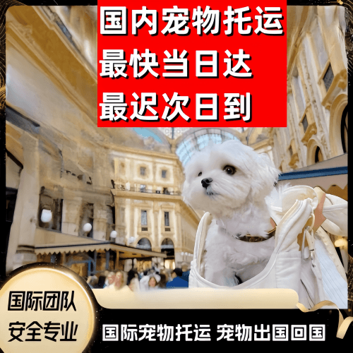 三亚市到澳大利亚（澳洲）宠物入境规定和要求